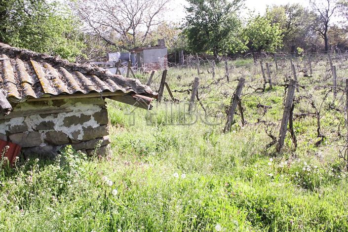 Image No.16-Maison à vendre à Burgas