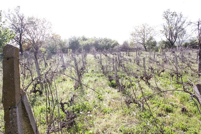 Image No.19-Maison à vendre à Burgas