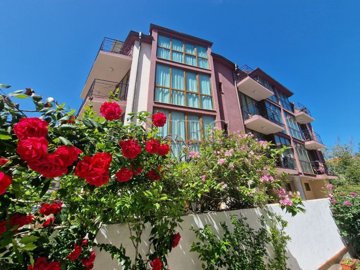 photo2024-05-2519-55-35