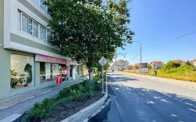 photo72024-07-3110-43-49-848x530-1