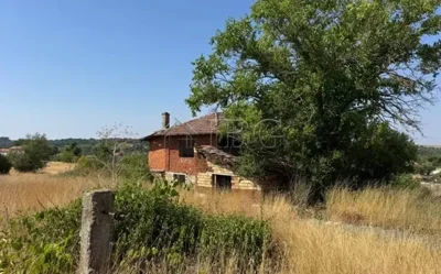 photo22025-07-3109-32-53-848x530-1