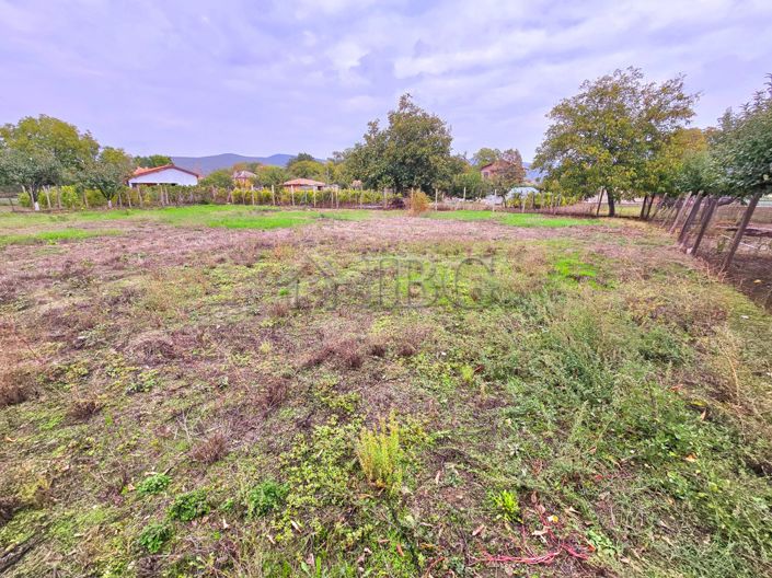 Image No.1-Property for sale