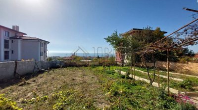 viberimage2024-10-2913-29-06-939