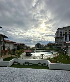 photo2026-01-1709-12-25-3