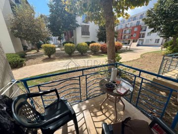 photo62025-10-1011-54-13