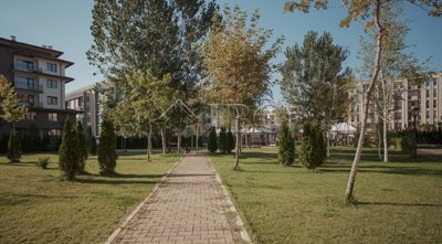 sunny-view-central-22