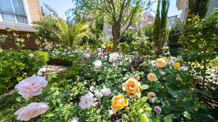 Image No.19-2 Bed Apartment for sale