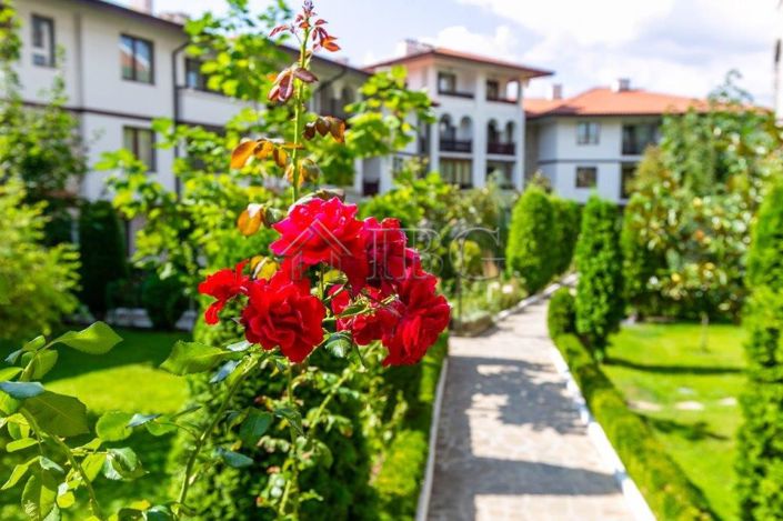 Image No.17-Apartment for sale