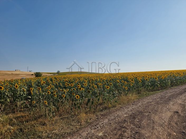 Image No.10-Property for sale