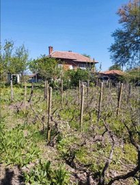 hause-with-big-garden-in-the-edge-of-the-vill