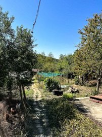 renovated-house-with-big-garden-not-far-from-