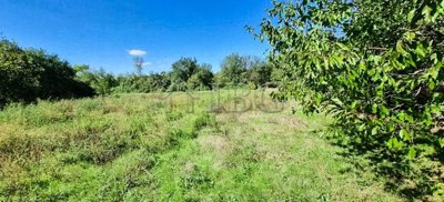 3-bedroom-house-with-big-garden-veliko-tarnov