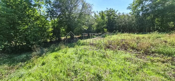 Image No.17-3 Bed House for sale