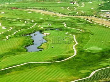 lighthouse-golf-curses-18