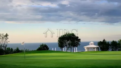 2cd4a6669ee7e8a1141967259827eece-2