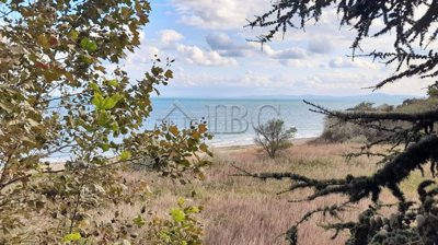 20250927165332-scaled