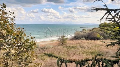 20250927171328-scaled