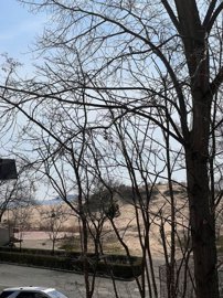 b4cb140f03784cda89db22ee5b5c6f09