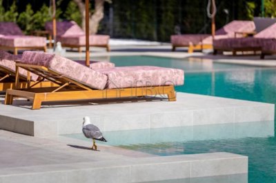 jadore-secret-garden-711344871