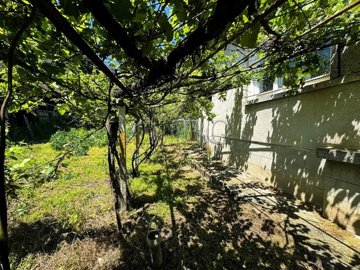 amazing-property-two-houses-big-green-area-ne