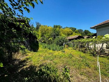 amazing-property-two-houses-big-green-area-ne