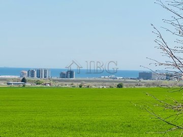 vineyards-11