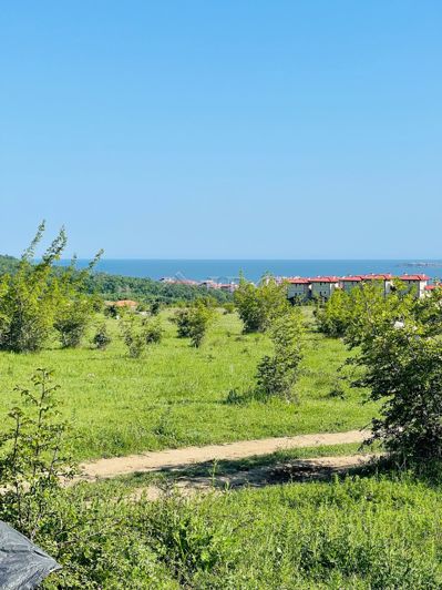 Image No.3-Property for sale