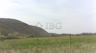 1 - Bata, Property
