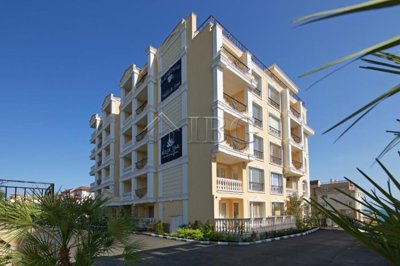 51397750