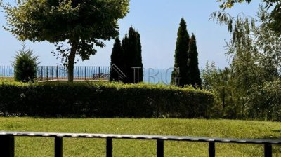 img0444