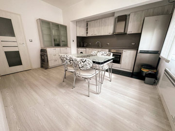 1-bedroom-fully-renovated-apartment-with-park