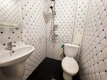 1-bedroom-fully-renovated-apartment-with-park