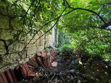 house-for-sale-bojichen-5