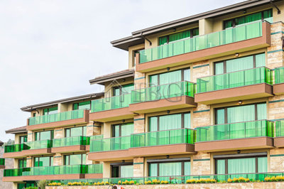 green-forest-sunny-beach-13