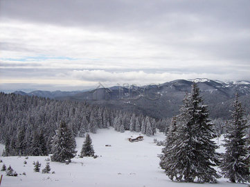 elit-pamporovo-bulgaria-pic510