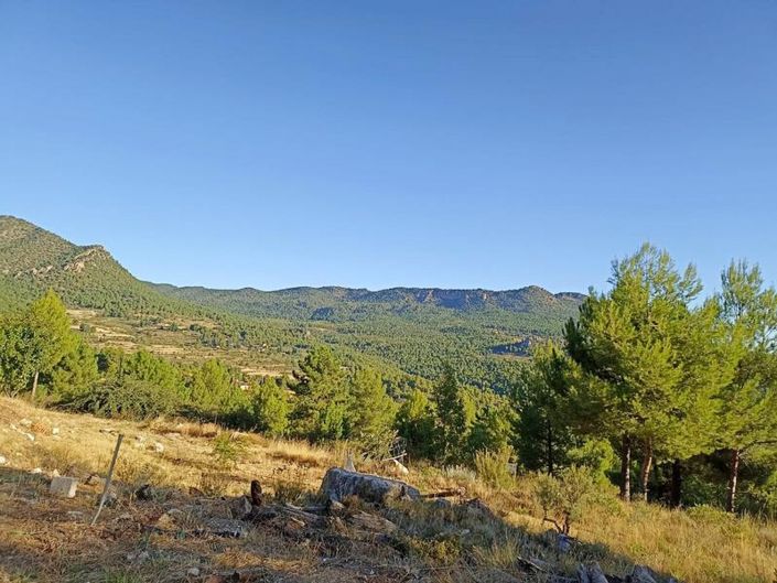 Image No.11-Maison de campagne de 3 chambres à vendre à Alicante