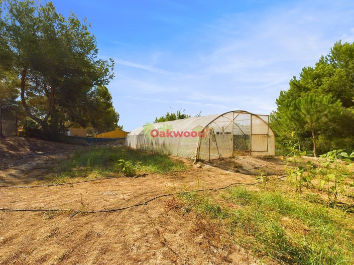 Image No.14-Maison de campagne de 1 chambre à vendre à Alicante