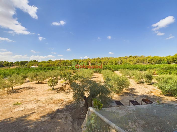 Image No.17-Maison de campagne de 1 chambre à vendre à Alicante