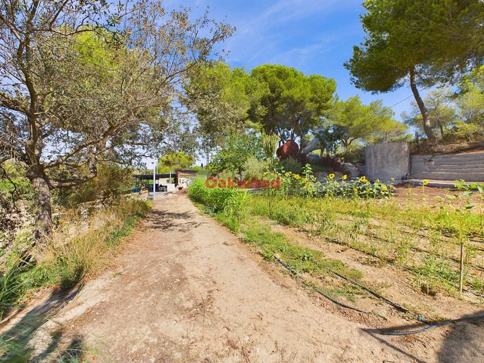 Image No.22-Maison de campagne de 1 chambre à vendre à Alicante