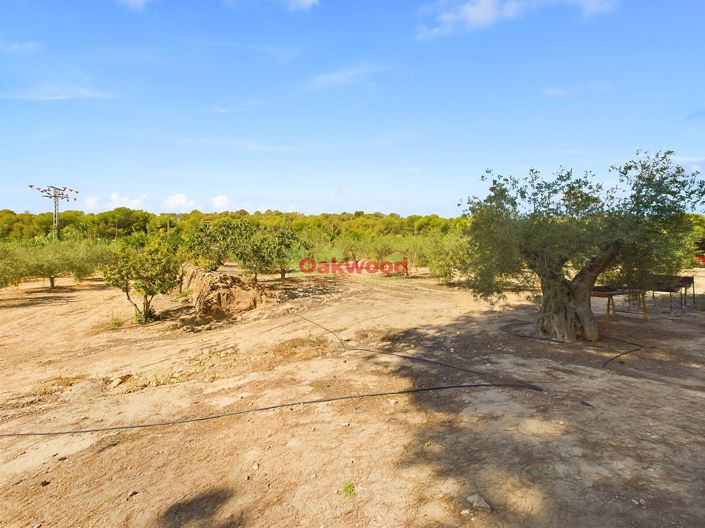Image No.23-Maison de campagne de 1 chambre à vendre à Alicante