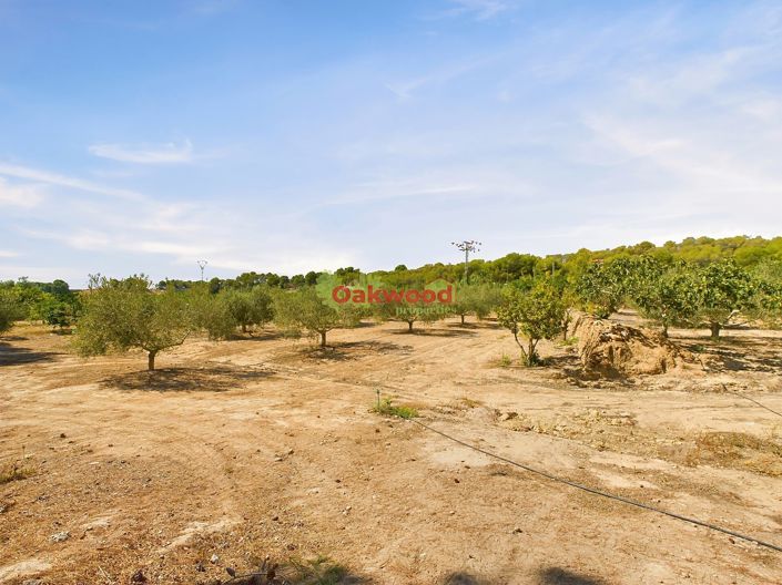 Image No.24-Maison de campagne de 1 chambre à vendre à Alicante