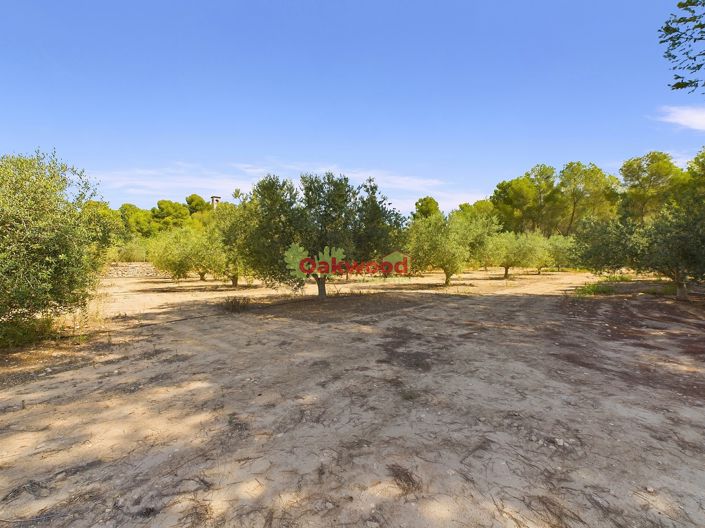 Image No.25-Maison de campagne de 1 chambre à vendre à Alicante