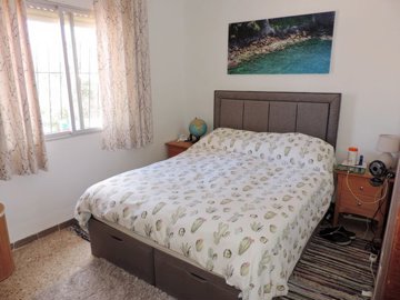 g123056acebo05