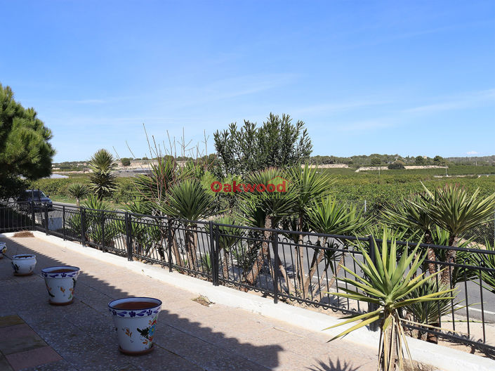 Image No.61-Villa de 4 chambres à vendre à Pinar de Campoverde