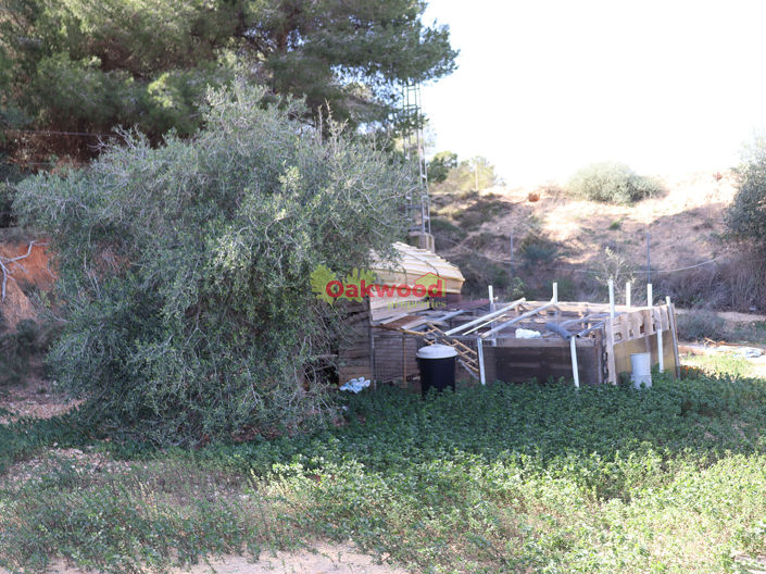 Image No.66-Villa de 4 chambres à vendre à Pinar de Campoverde