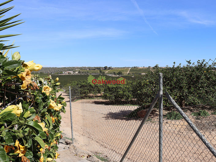 Image No.67-Villa de 4 chambres à vendre à Pinar de Campoverde