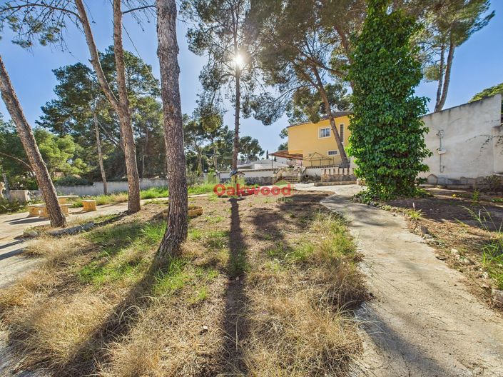 Image No.39-3 Bed Villa for sale