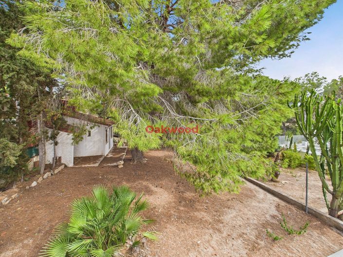 Image No.35-Villa de 2 chambres à vendre à Pinar de Campoverde