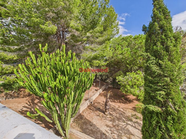 Image No.36-Villa de 2 chambres à vendre à Pinar de Campoverde