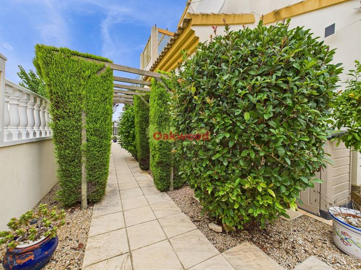 Image No.37-Villa de 3 chambres à vendre à Pinar de Campoverde